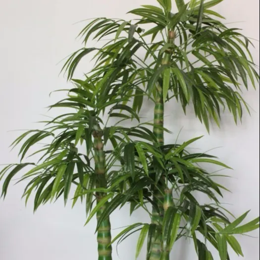 Plantes בונסאי Artificielle, חיצוני מקורה מלון קישוט פלסטיק עציצי פו עץ Bambu גדר מלאכותי במבוק בונסאי