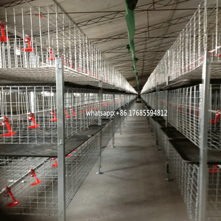 Low Price Layer Egg Chicken Cage