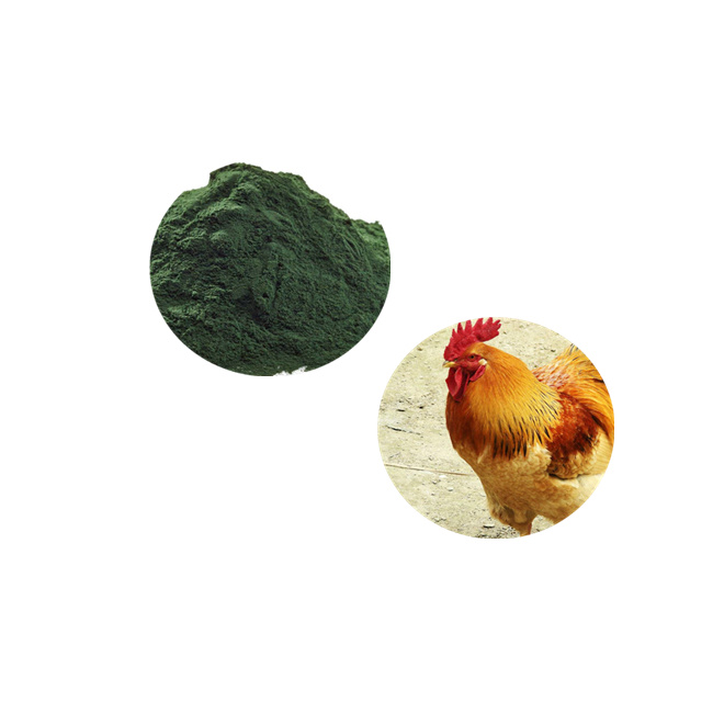 Спирулина порошкового типа для корма крупного рогатого скота, лошади, курицы, собаки, свиньи, корма для рыбы