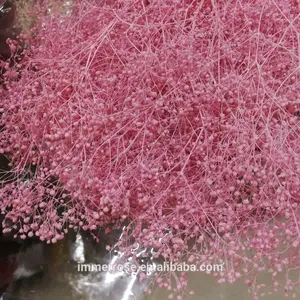 Wholesale Small Babysbreath Preserved Million Star Flower For Wedding