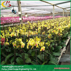 Multi-span pellicola di plastica serra <span class=keywords><strong>per</strong></span> orchidea Phalaenopsis piantina con ombreggiatura netto - Product Image 6