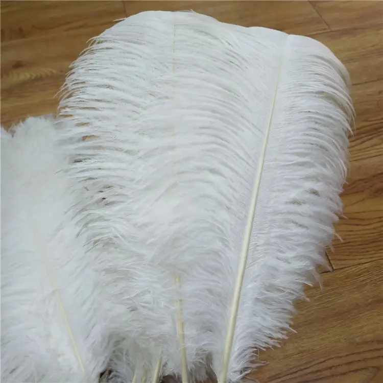 Pluma de avestruz para decoración de eventos, V-1182, alta calidad, 60-65cm