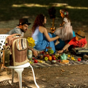 <span class=keywords><strong>Zaino</strong></span> da Picnic freddo isolato con set da picnic per 4 persone zaini da Picnic impermeabili da spiaggia di grande capacità - Product Image 5