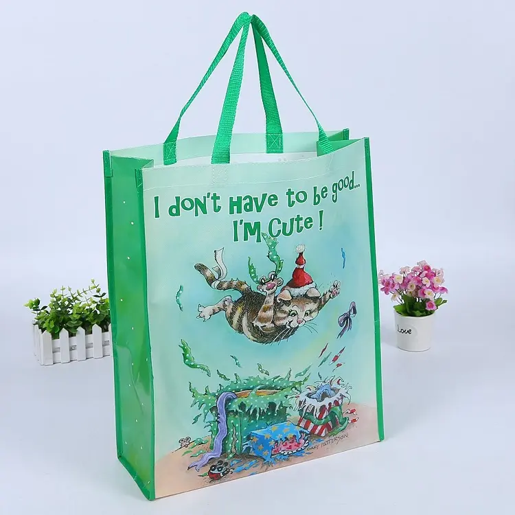 Nonwoven Promotional Bag Custom Reusable Folding Wholesale Logo Print Promotion Nonwoven Shopping Bags
