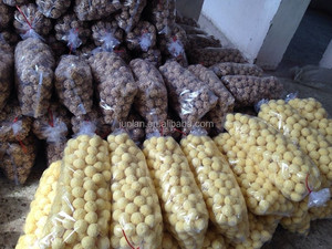آلة نفخ كبيرة لتدفق الهواء للقهوة والذرة والأرز والقمح والحبوب الأخرى - Product Image 6