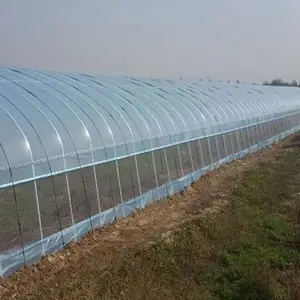 0.3mm vinyl transparent clear PVC film roll for greenhouse