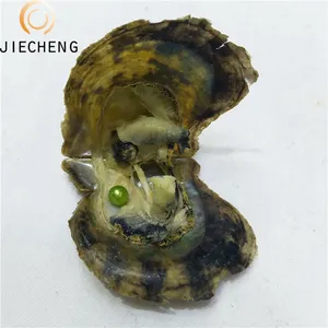 6-7mm goede kleur groothandel verbazingwekkende gift parel in oester