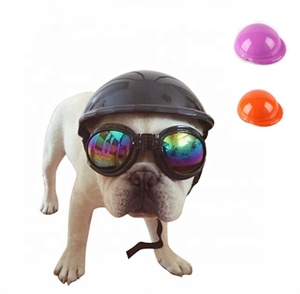 <span class=keywords><strong>Casque</strong></span> d'extérieur en plastique pour <span class=keywords><strong>chien</strong></span> de compagnie, prix d'usine - Product Image 1