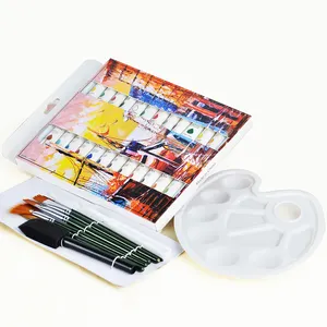 3D zware lichaam 24x12 ml kunstenaar acrylverf set met penselen