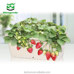 <span class=keywords><strong>Pot</strong></span> de fleurs bonsaï en plastique, <span class=keywords><strong>pot</strong></span> de plantes, herbes artificielles, pour loisirs, plantes, fraises, boîte de rabotteuse, bon marché, cm - Product Image 3