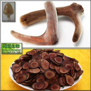 Polvo de extracto de terciopelo, suministro de fábrica, cornamenta de ciervo puro, 10:1, polvo de cornamenta de ciervo de alta calidad - Product Image 2
