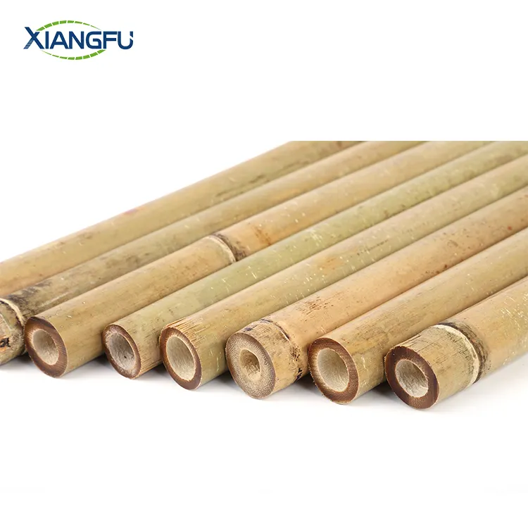 <span class=keywords><strong>P</strong></span>ólo de bambu, o Grau de Construção de Bambu, Canas De Bambu Varas