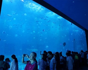 Grote Project Custom Acryl Aquarium/Clear Grote Vis Tank - Product Image 3