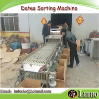 Data Sorteren Machine Met Hele Fruit Verwerking Machines