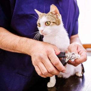 Pet Safety Claw <strong>Nail</strong> Scissors Exquisite <strong>Cutter</strong> With Polishing Sickle Suitable for Dogs and <strong>Cats</strong> (Large and Small) - Product Image 5
