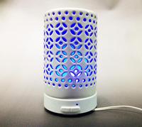 Mini Humidificateur à Brume Portable LED Double Jet, Diffuseur d'Huiles Essentielles à Arômes, Humidificateur d'Air USB pour Voiture et Hôtel