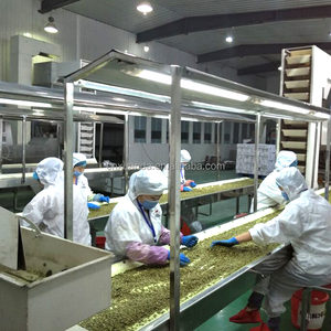 Graines de citrouille chinoise, GWS, en vrac, prix d'usine, meilleure qualité, graines de citrouille, en vrac, pour vente