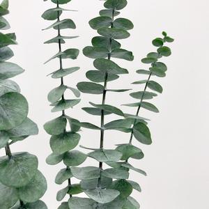 คุณภาพสูงแห้งใบ <span class=keywords><strong>eucalyptus</strong></span> ที่เก็บรักษาไว้สำหรับตกแต่ง - Product Image 2