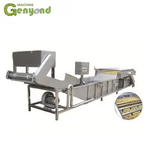 Otomatik Meyve Ve Sebze Işleme Makine Ekipman/Berry Çamaşır Makinesi