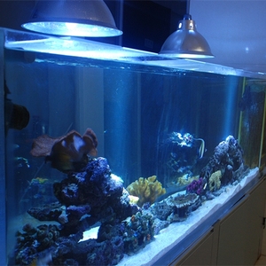 人気販売 透明 スクエア アクリル水槽 アクアリウム - Product Image 4