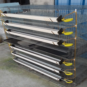 Diseño automático de capa jaulas de pollo comercial <span class=keywords><strong>codorniz</strong></span> capa jaula - Product Image 4