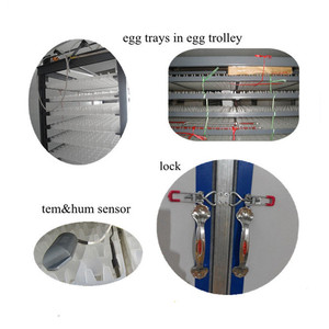 Công Suất 1000 Trứng Lò Ấp Trứng Ấp Trứng Bố Mẹ Gà Trứng Giá Lồng Ấp Để Bán - Product Image 2