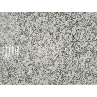 Pierre de granit SH STONE G439 Flower Misty Bianco Blanc Gris pour carreaux de sol