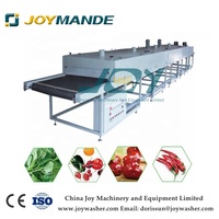 Transportband Luchtblaasdroogmachine Groente-En Fruitband Ontwateringsmachine