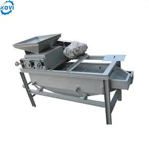 Automatic macadamia almond cracker apricot kernel peeling sheeler machine