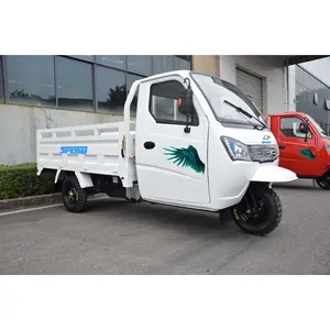 Cabin Điều Khiển 250CC Ba Bánh Xe Máy Xe Ba Bánh Chở Hàng Trung Quốc Dành Cho Người Lớn Xe Mini