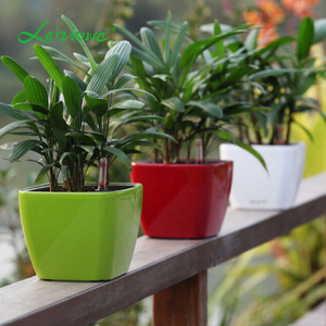<span class=keywords><strong>Macetas</strong></span> <span class=keywords><strong>de</strong></span> Plástico, Artículos <span class=keywords><strong>de</strong></span> Jardinería Inteligentes, Decoración, Mini <span class=keywords><strong>Macetas</strong></span> <span class=keywords><strong>Cuadradas</strong></span> Pequeñas <span class=keywords><strong>de</strong></span> Escritorio para Interiores, Color Blanco, con Indicador <span class=keywords><strong>de</strong></span> Agua - Product Image 6