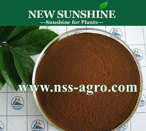 Ácido fúlvico Soluble en agua Ácido fúlvico 95% Suplemento en polvo Fertilizante Ácido fúlvico - Product Image 3