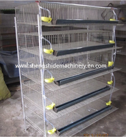 Cage à cailles automatique à grande échelle avec batterie SSD