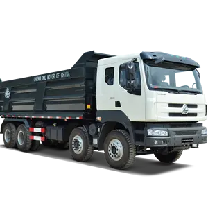 Dongfeng dump truck met hoge kwaliteit goedkope prijs hot sales modern design 8x4 dumping truck