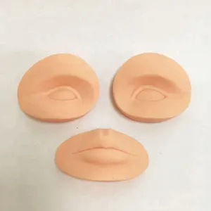 Berlin 3D Thực Hành Mô Hình Đầu Cho Lông Mày Lip Eyeliner Tattoo