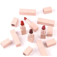 Ausgefallene Lippenstift behälter Low Moq Free Samples Matte Velvet Lipstick