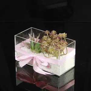 Customized Plexiglass Planter Box Clear Acrylic Tabletop 5 Sided Flower Pot Holder Box Wholesale