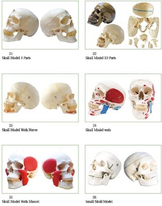 Dental historia escultura regalos de artesanía - Product Image 6
