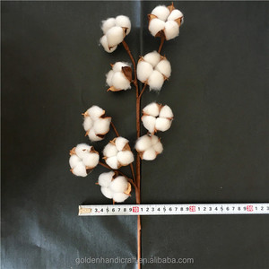 10 tiges de bourgeons de coton blanc naturel de 21 pouces, fleurs séchées conservées, pour Noël, mariages, Halloween, remises de diplômes, disponibles gratuitement - Product Image 6