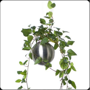Bureau décoration <span class=keywords><strong>suspension</strong></span> 8-22 cm diamètre vélo <span class=keywords><strong>pot</strong></span> de <span class=keywords><strong>fleur</strong></span> - Product Image 2