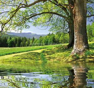 Papel Tapiz Mural Moderno con Paisaje Natural y Urbano en 3D para Sofá y Pared <span class=keywords><strong>de</strong></span> Fondo <span class=keywords><strong>de</strong></span> <span class=keywords><strong>TV</strong></span> - Product Image 5