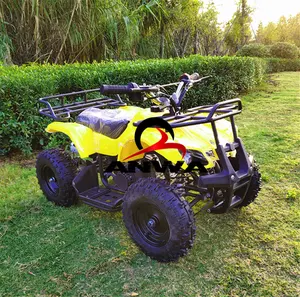 Dengan Harga Murah & Populer Bull Gaya 2 Stroke 50cc Mini QUAD SEPEDA untuk Anak-anak