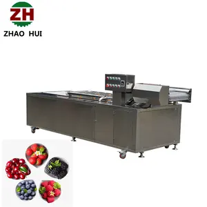 ZH Orange Melon Banana Mango Tomato Apple Fruit Washing Machine Fruit And Vegetable Cleaning Machine