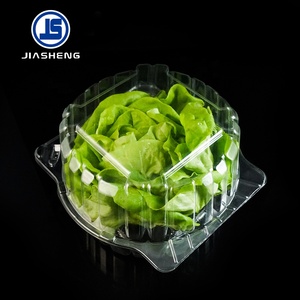 优质食品级泡罩透明宠物塑料容器生菜蛤壳生菜包装 - Product Image 6
