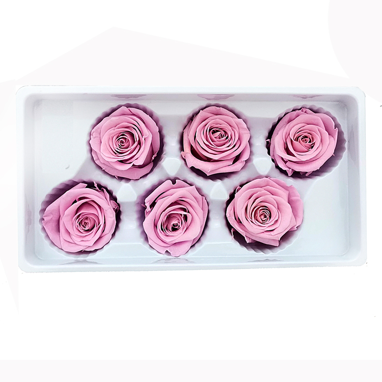 Pourpre rosé