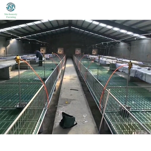 Thiết Bị Chăn Nuôi Động Vật Thùng Nuôi Lợn Bút Ươm Cho Lợn Vỗ Béo - Product Image 4