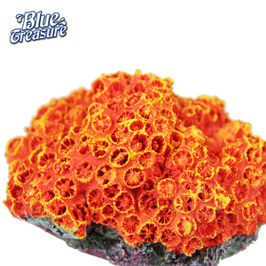 Nuevo Producto corales artificiales frag para la decoración del acuario - Product Image 6