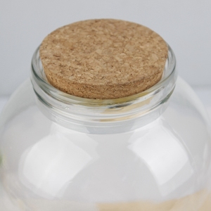 Pot de rangement en verre <span class=keywords><strong>pour</strong></span> plantes avec couvercle en liège <span class=keywords><strong>pour</strong></span> jardin - Product Image 4