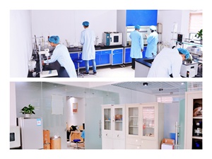 Высокое качество, Лучшая цена, 100% натуральный порошковый экстракт корня гонания куспидатума из полидатина на продажу - Product Image 5