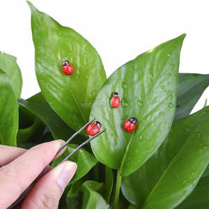 Antner 72 Pieces Miniature <strong>Fairy</strong> <strong>Garden</strong> <strong>Kit</strong> for DIY Resin/Decor with Storage Box Resin Toys - Product Image 3